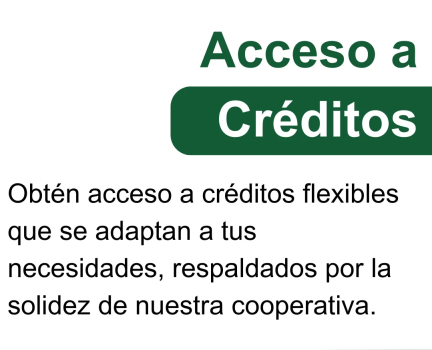 asociate carrusel 4