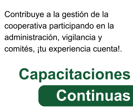 asociate carrusel 6